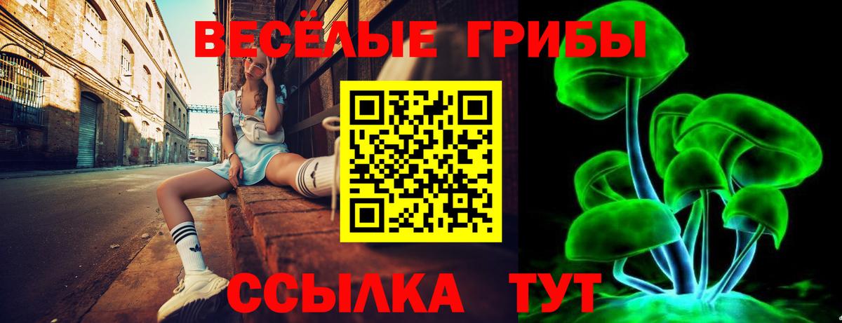 Кимовск  Псилоцибиновые грибы мицелий  наркошоп  Вход с VPN 