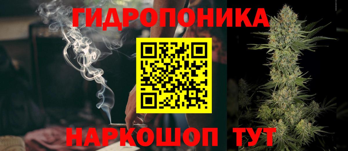 Кимовск  Бошки марихуана планчик  Бошки марихуана гибрид  МАРИХУАНА SATIVA & INDICA  Вход с VPN  Конопля White Widow 